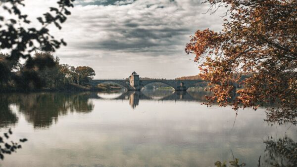 Pont d'Avignon - Novembre 2024