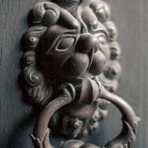 Heurtoir en lion sculpté – Le gardien silencieux