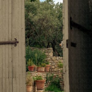 Porte entrouverte sur un jardin provençal