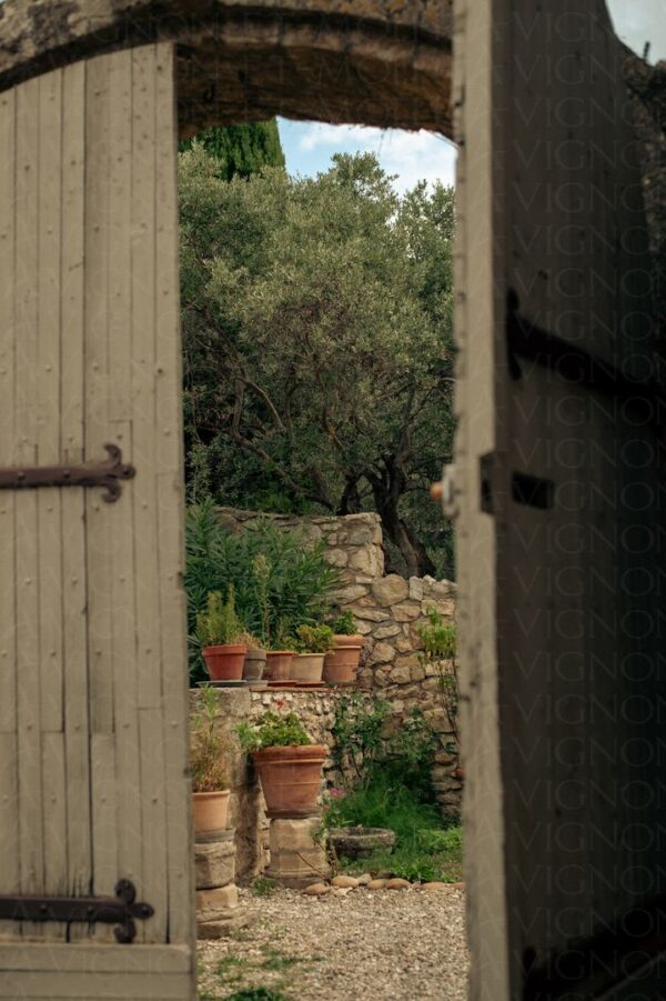 Porte entrouverte sur un jardin provençal