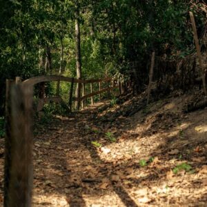 Chemin de Promenade aux Angles